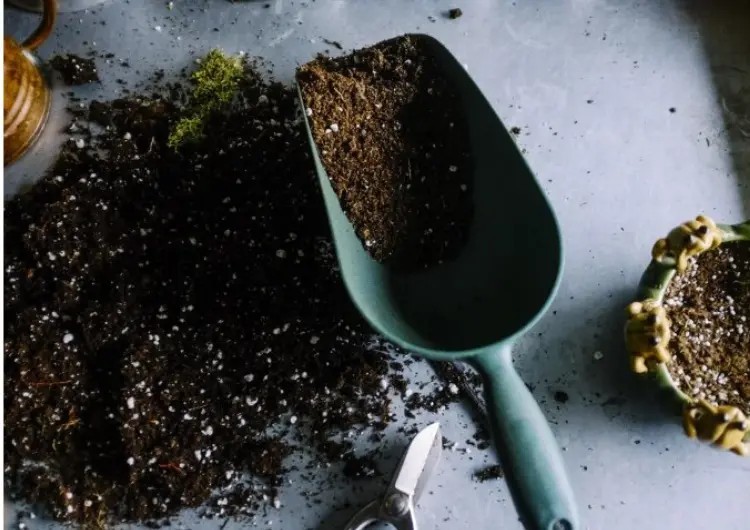 Retourner le compost : comment faire et pourquoi c'est important ?